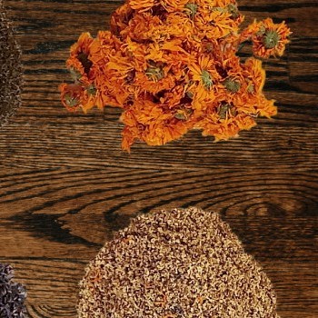 Fitoterapia, alimentazione, integrazione naturale e naturopatia yoga-ayurveda per l'inverno